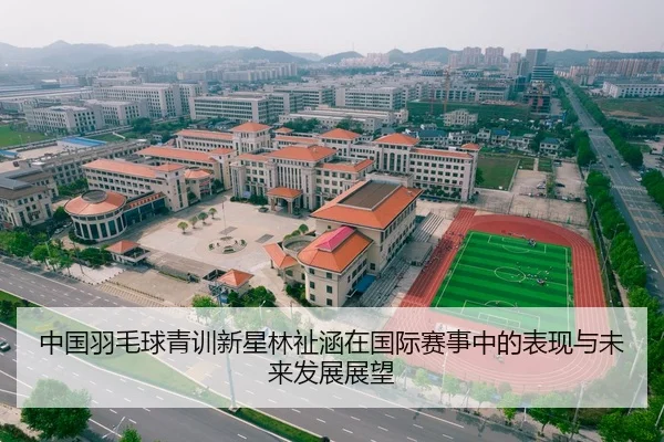 中国羽毛球青训新星林祉涵在国际赛事中的表现与未来发展展望